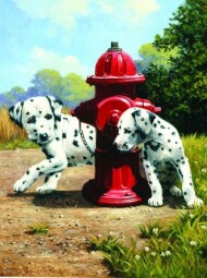 Malování podle čísel Dalmatini u červeného hydrantu 22x30cm