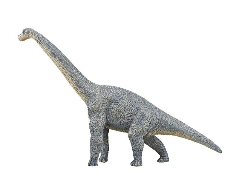 Mojo Brachiosaurus