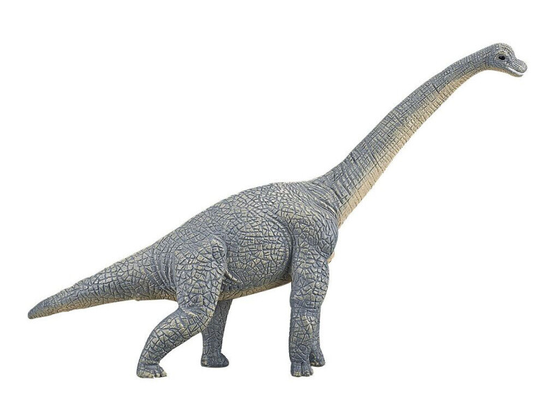 Mojo Brachiosaurus