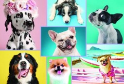 Puzzle Roztomilí psi 1500 dílků