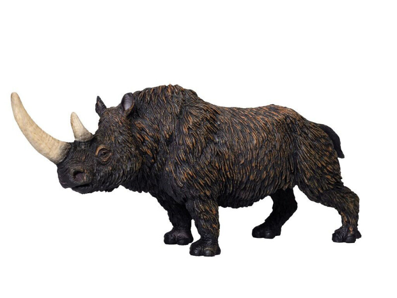 Mojo Nosorožec srstnatý