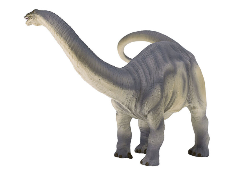 Mojo Brontosaurus
