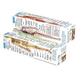 Kniha v kostce Lidské tělo