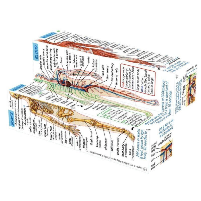 Kniha v kostce Lidské tělo