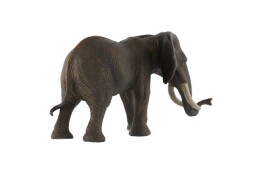 Zooted Slon africký plast 17cm 