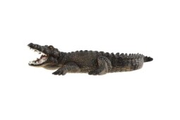 Zooted Krokodýl západoafrický plast 17cm