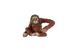 Zooted Orangutan sumaterský plast 8cm 