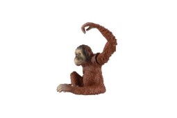 Zooted Orangutan sumaterský plast 8cm 