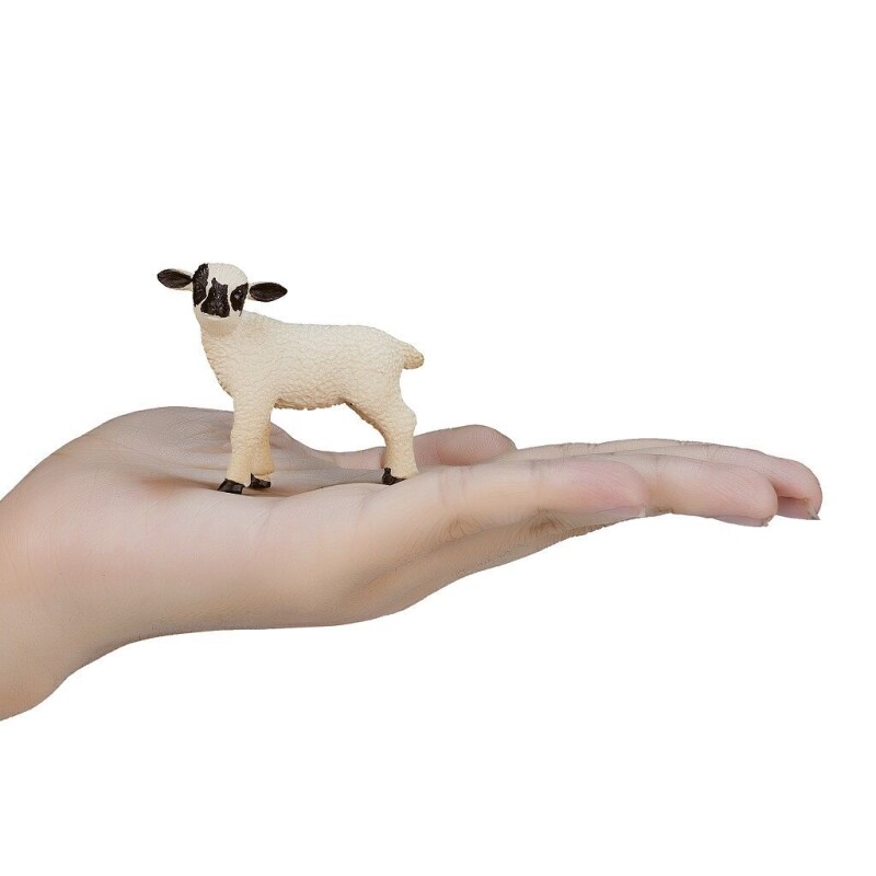 Mojo Jehně Hampshire stojící