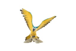 Zooted Ara ararauna 9cm