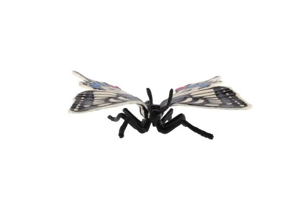 Zooted Motýl tropický Papilio - Otakárek fenyklový 8cm 