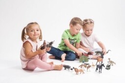 Zooted Sokol stěhovavý 9cm