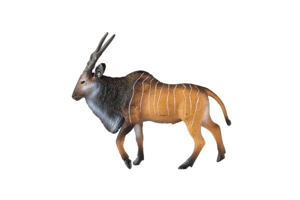 Zooted Antilopa Derbyho samec 14cm