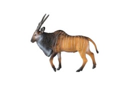 Zooted Antilopa Derbyho samec 14cm