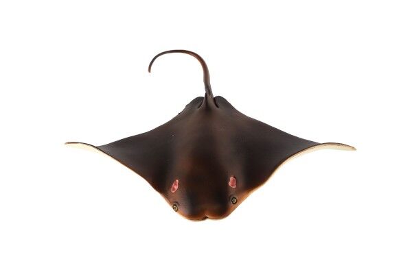 Zooted Siba ománská rejnok 18cm