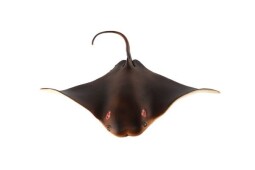 Zooted Siba ománská rejnok 18cm