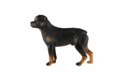 Zooted Rottweiler pes domácí  8cm