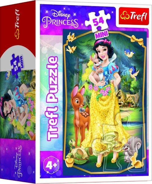 Minipuzzle Krásné princezny Disney 54dílků