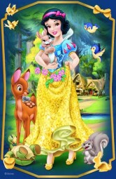 Minipuzzle Krásné princezny Disney 54dílků