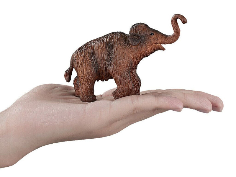 Mojo Mamut mládě