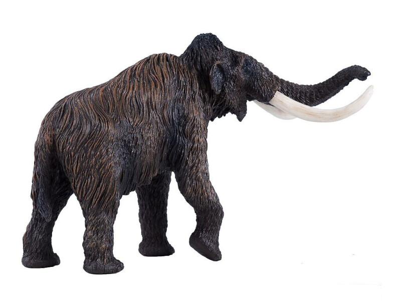 Mojo Mamut srstnatý