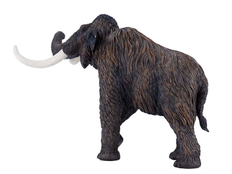 Mojo Mamut srstnatý